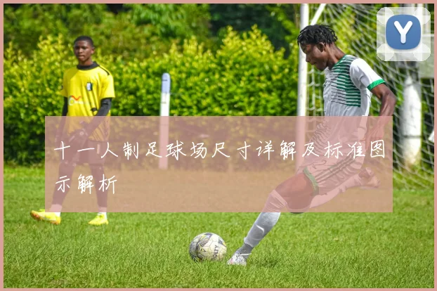 十一人制足球场尺寸详解及标准图示解析