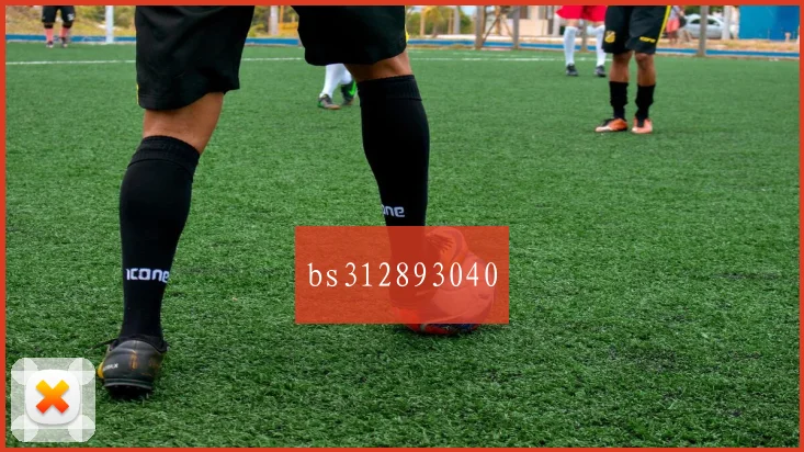 bs312893040