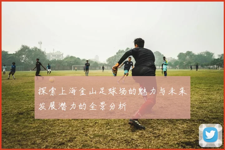 探索上海金山足球场的魅力与未来发展潜力的全景分析
