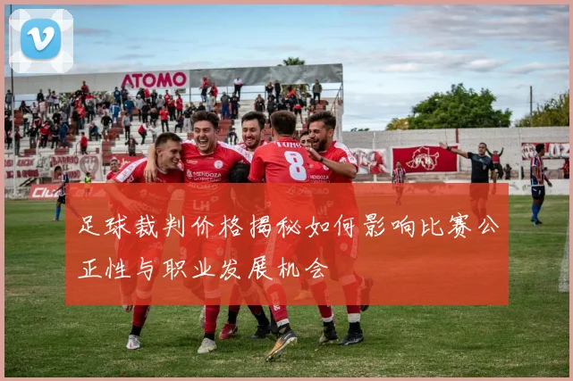 足球裁判价格揭秘如何影响比赛公正性与职业发展机会