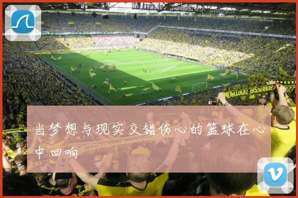 当梦想与现实交错伤心的篮球在心中回响