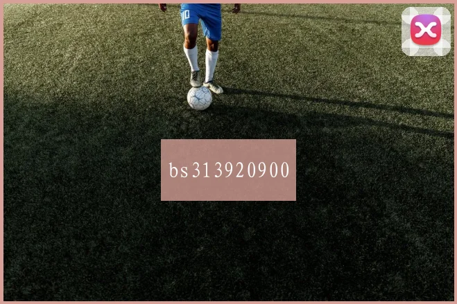 bs313920900