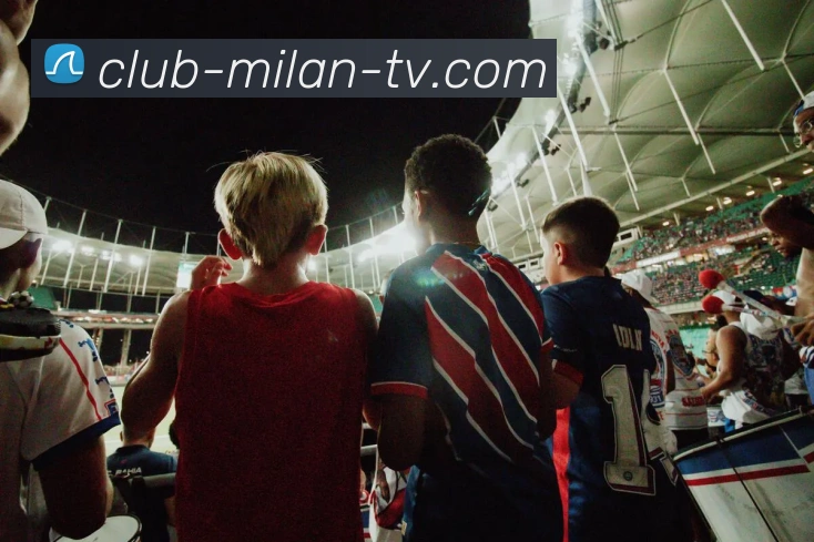 多媒体互动体验